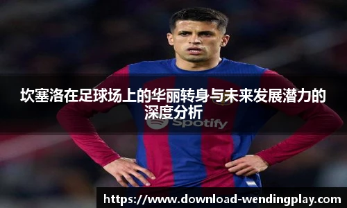 坎塞洛在足球场上的华丽转身与未来发展潜力的深度分析